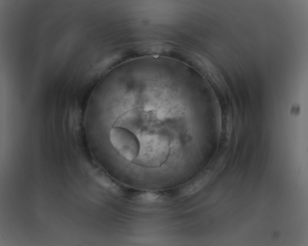 X0000094450326200711211524