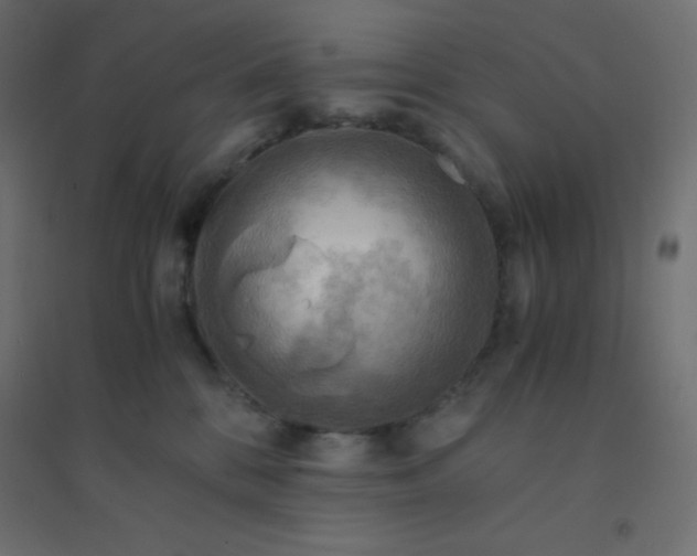 X0000094450328200711211524