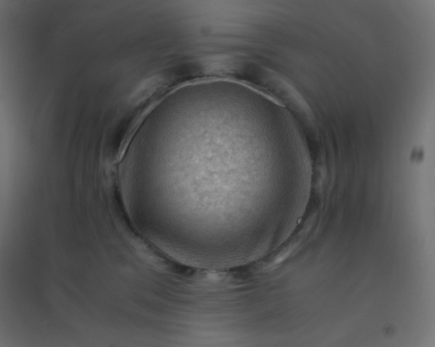 X0000094450329200711211524