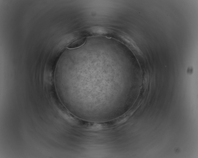 X0000094450330200711211524