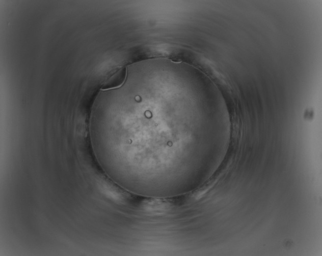 X0000094450331200711211524