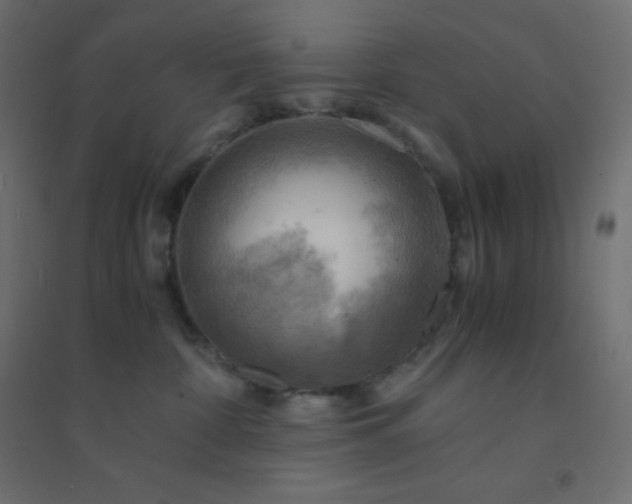 X0000094450332200711211524