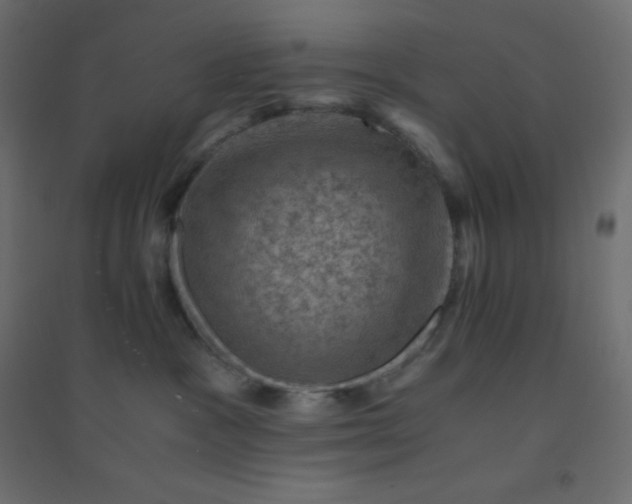 X0000094450333200711211524