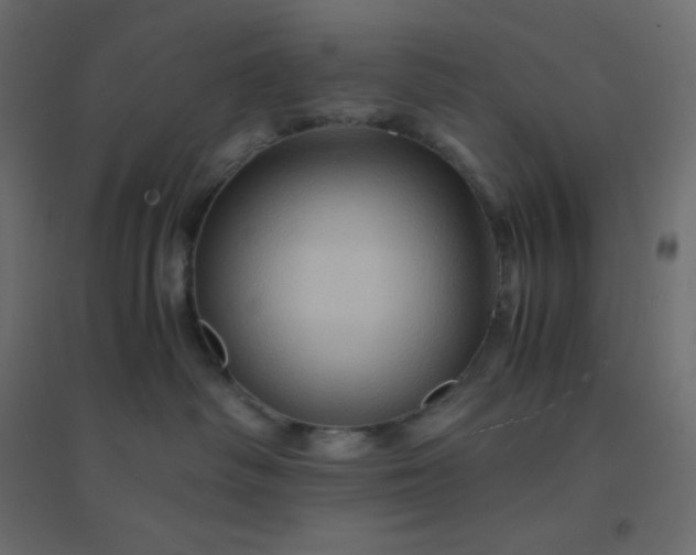 X0000094450334200711211524