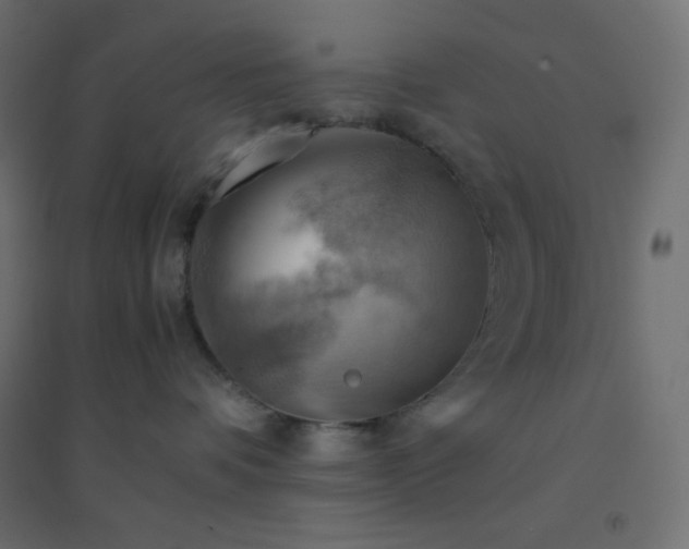 X0000094450336200711211524