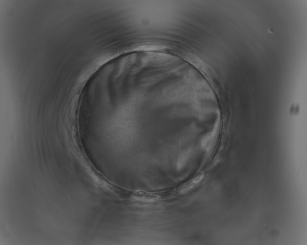 X0000094450337200711211523