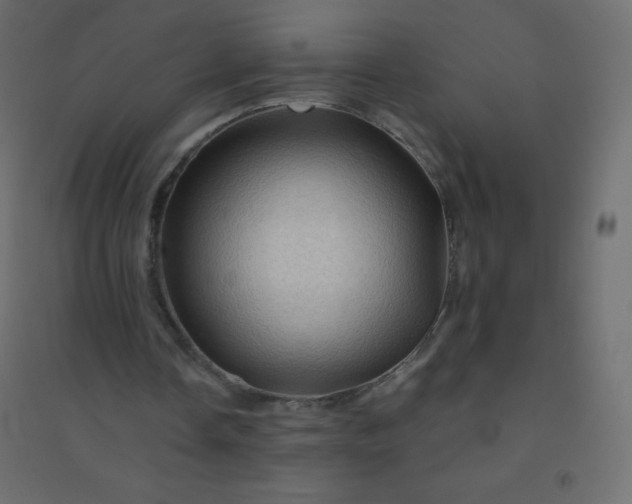 X0000094450338200711211523