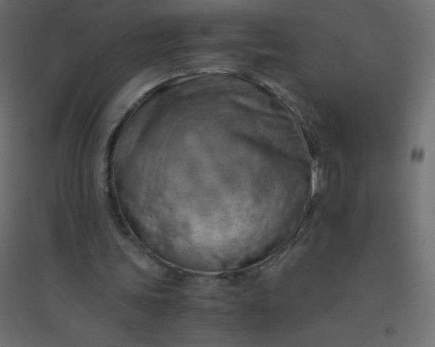 X0000094450339200711211523