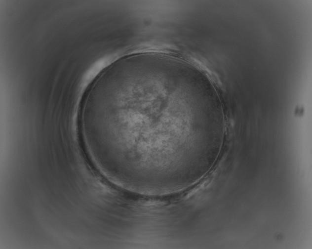 X0000094450340200711211523