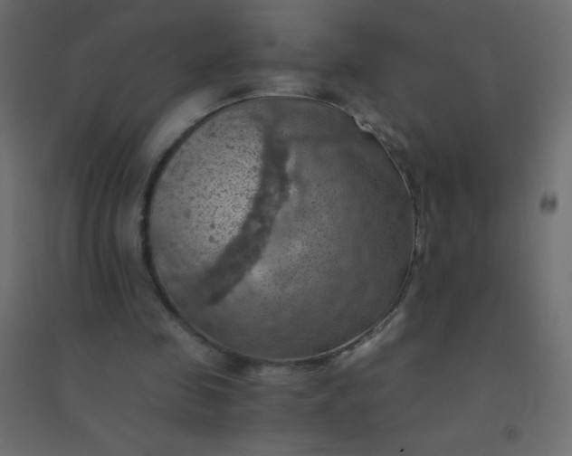 X0000094450341200711211523