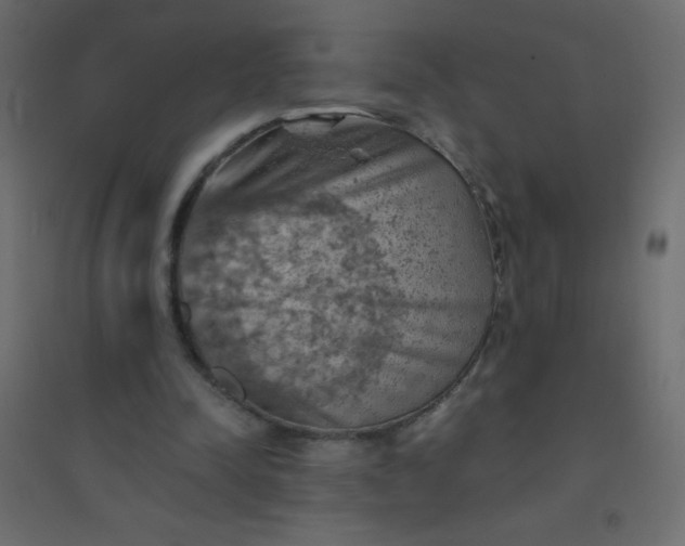 X0000094450342200711211523