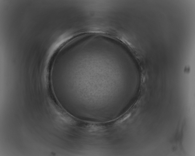 X0000094450343200711211523