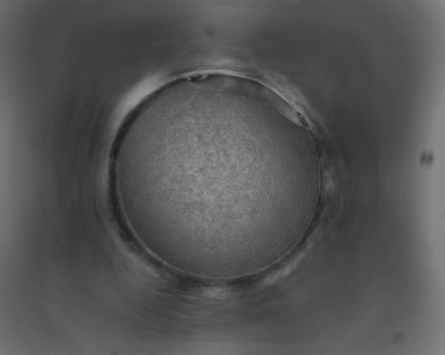 X0000094450344200711211523