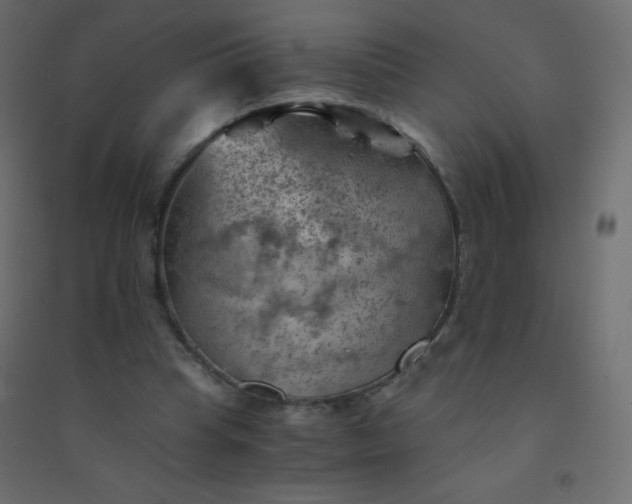 X0000094450345200711211523