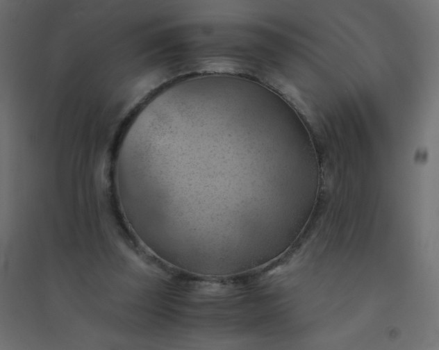 X0000094450347200711211523