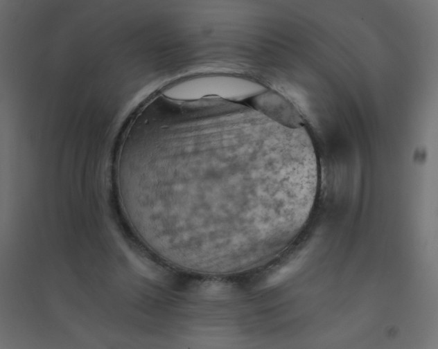 X0000094450348200711211523