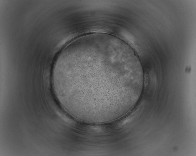 X0000094450349200711211523