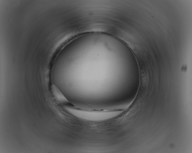 X0000094450350200711211523