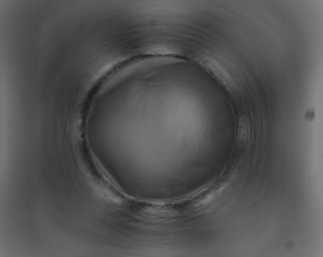 X0000094450351200711211523