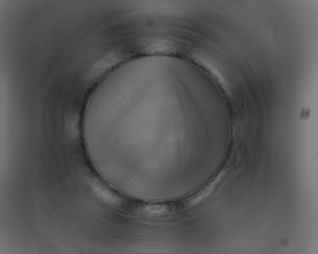 X0000094450353200711211523