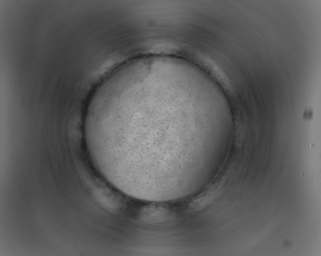 X0000094450354200711211523