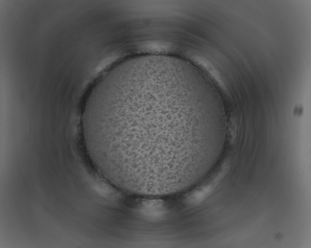 X0000094450355200711211523