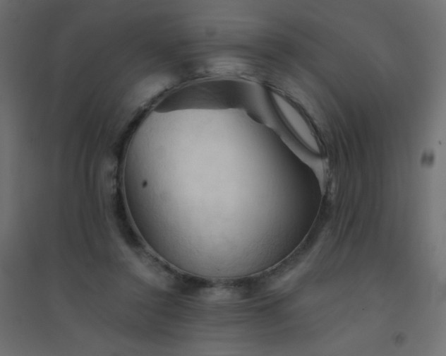 X0000094450356200711211523