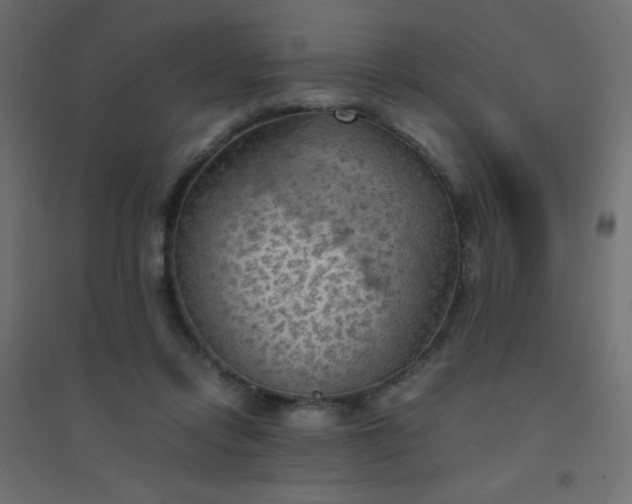 X0000094450358200711211523