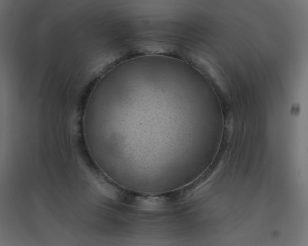 X0000094450359200711211523