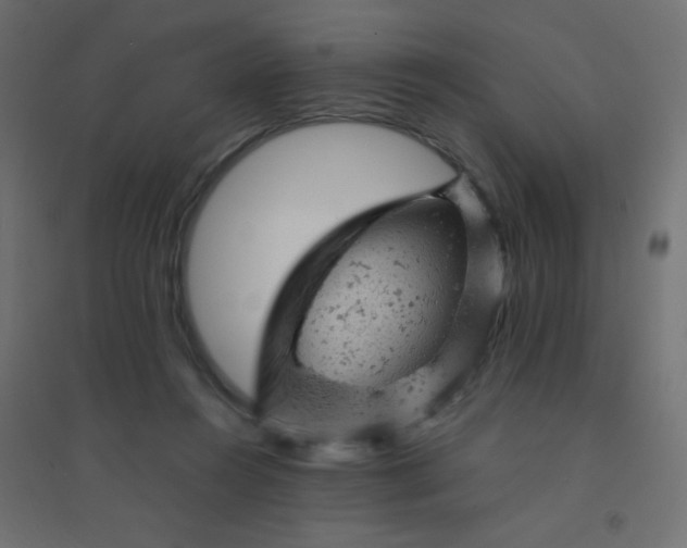 X0000094450360200711211523