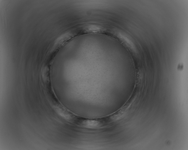 X0000094450361200711211523