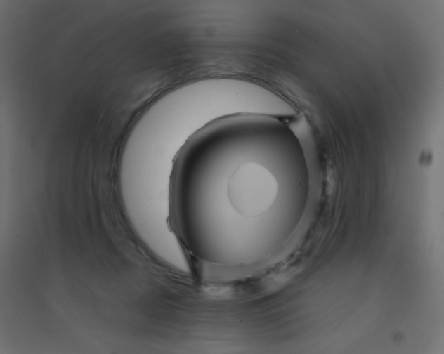 X0000094450362200711211523