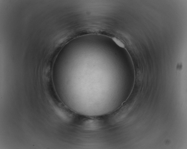 X0000094450364200711211523