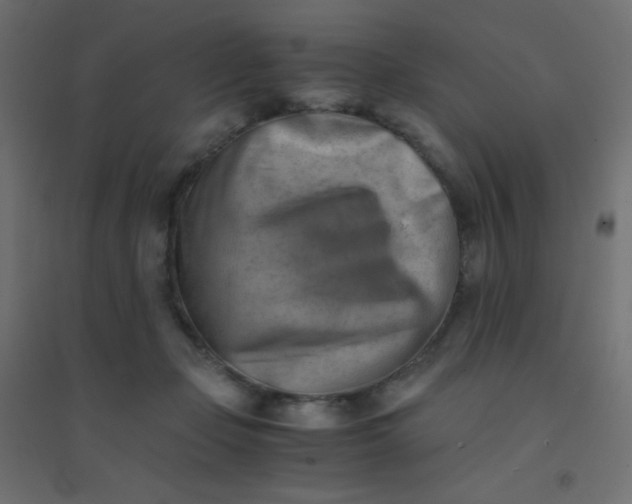 X0000094450365200711211524