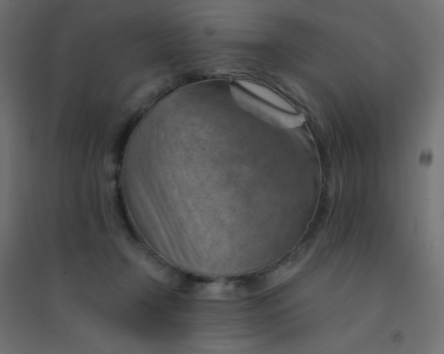 X0000094450366200711211524