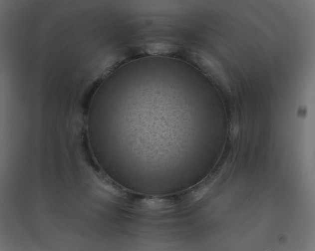 X0000094450367200711211524