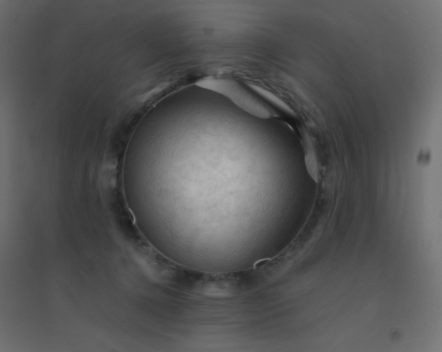 X0000094450368200711211524