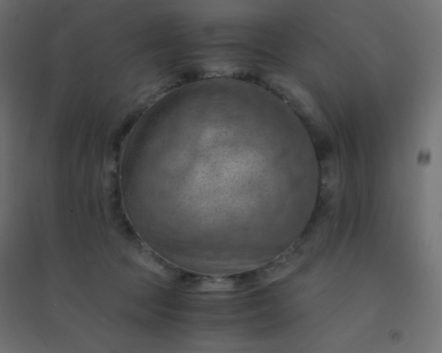 X0000094450369200711211524