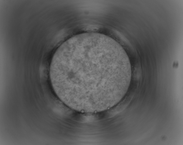 X0000094450370200711211524