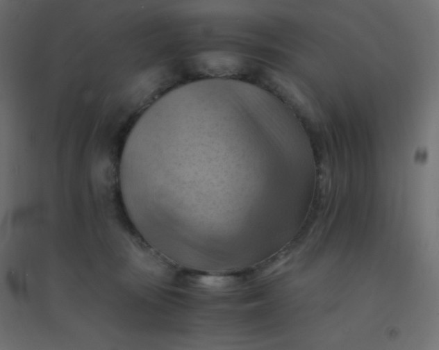 X0000094450371200711211524