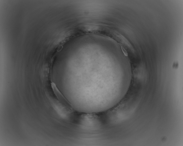 X0000094450372200711211524