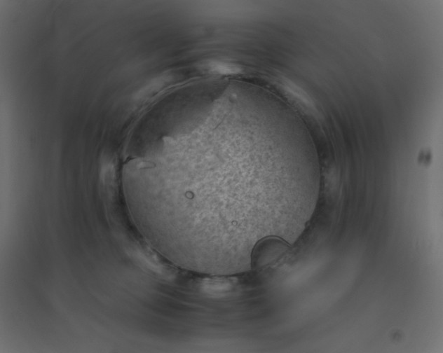 X0000094450373200711211524