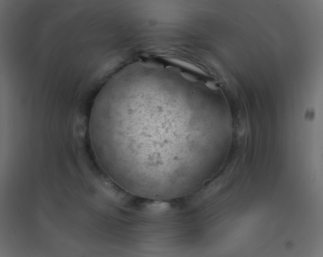 X0000094450374200711211524