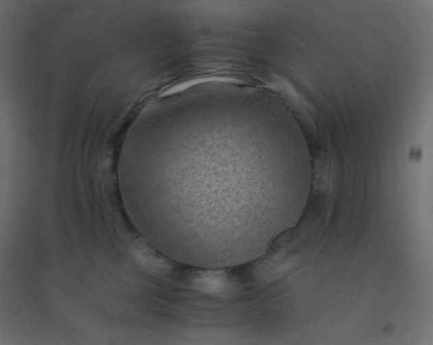 X0000094450377200711211524