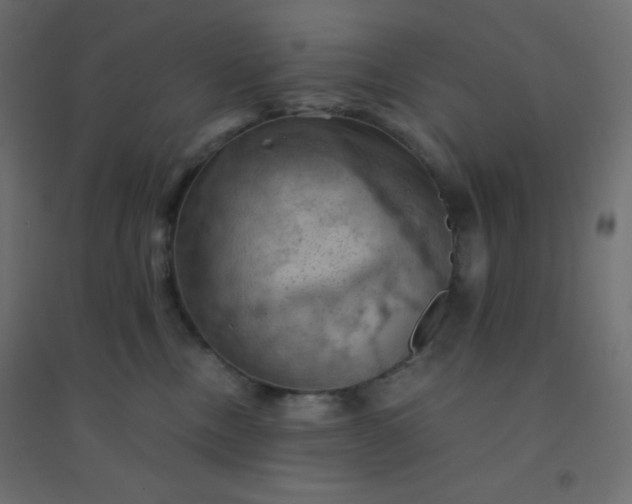 X0000094450378200711211524