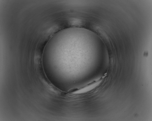 X0000094450379200711211524