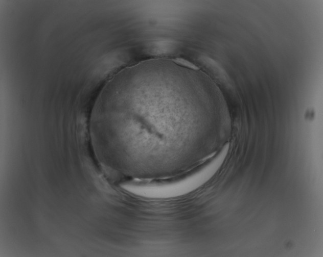 X0000094450380200711211524