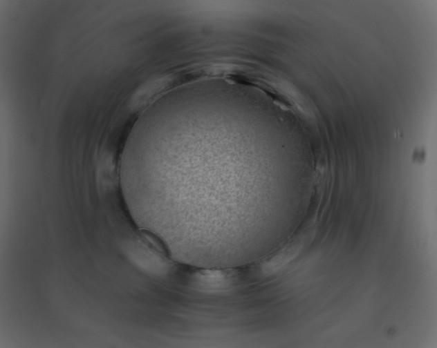 X0000094450381200711211524