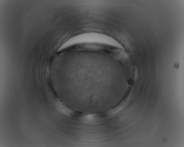 X0000094450382200711211524