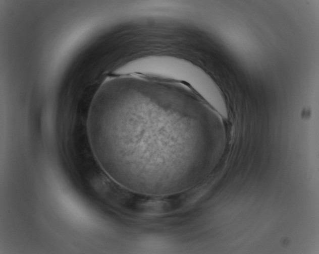 X0000094450383200711211524